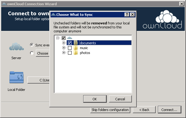 Ange vilka kataloger från servern som ska synkas med din dator