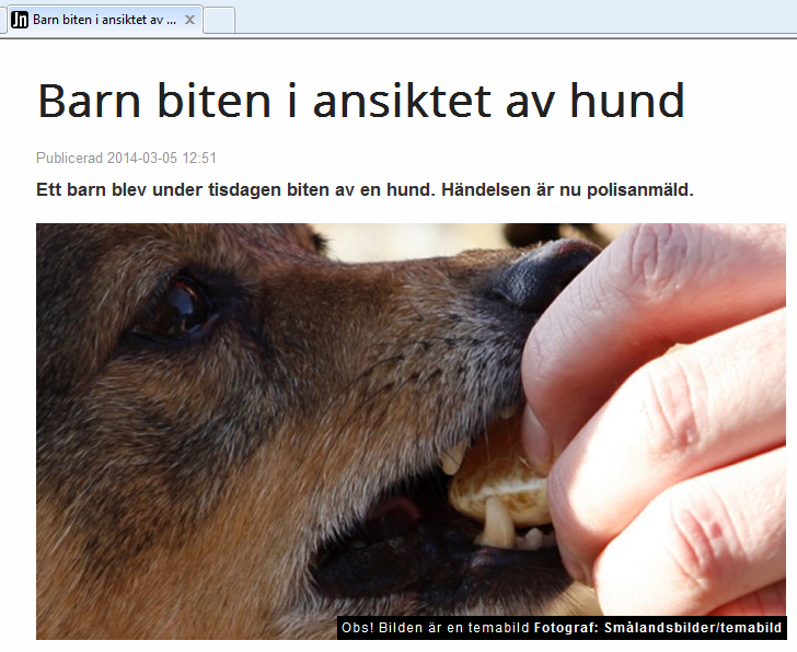 Barn biten av hund, artikel från Jnytt