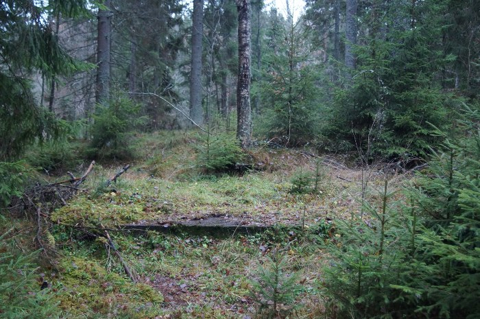 Betongplatta i skogen