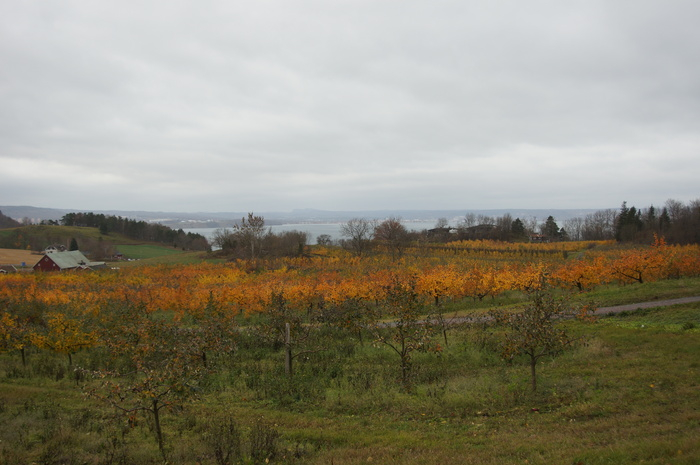 Vy över Jönköping från Rudenstams