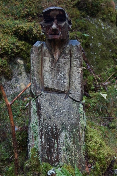 Trägubbe som vi hittade i skogen