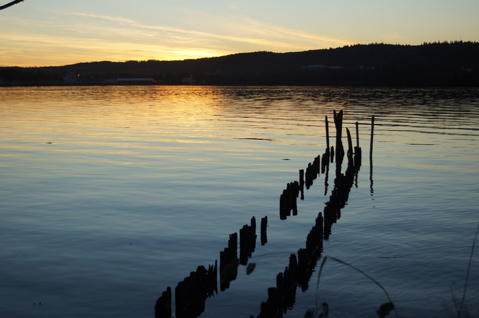 Gammal brygga i solnedgång