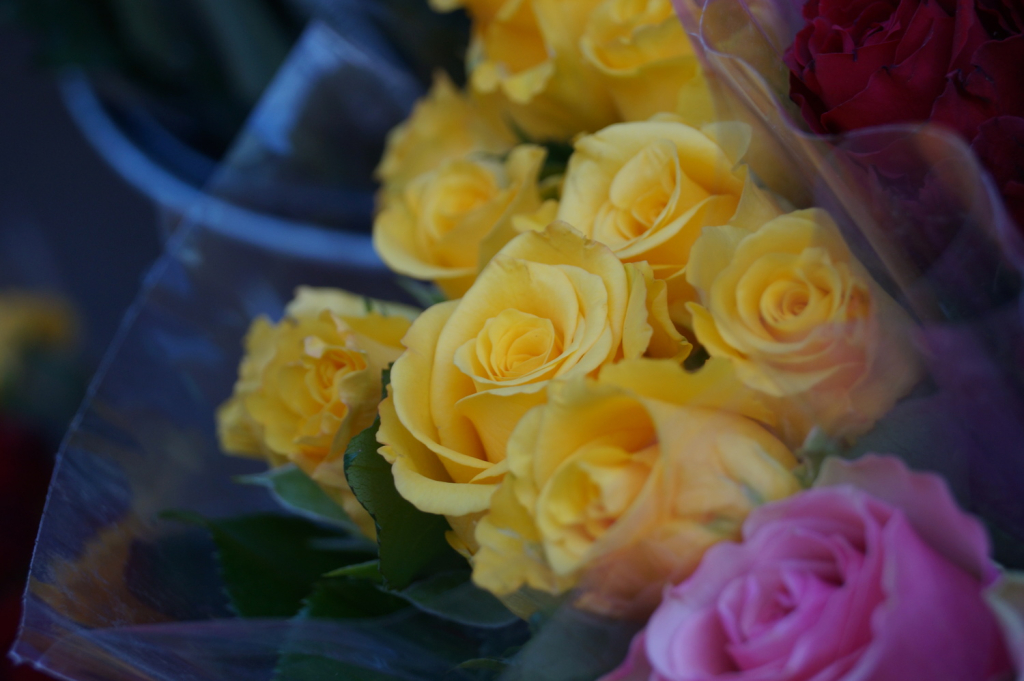 Gula rosor utanför en blomsterbutik