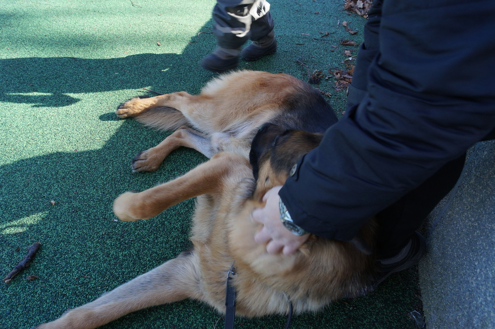 En främling hälsar på Beathalandet Euro