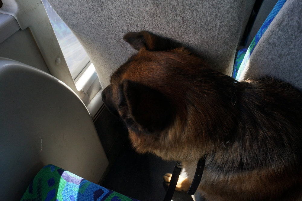 Trångt för Beathalandet Euro på bussen på vägen hem