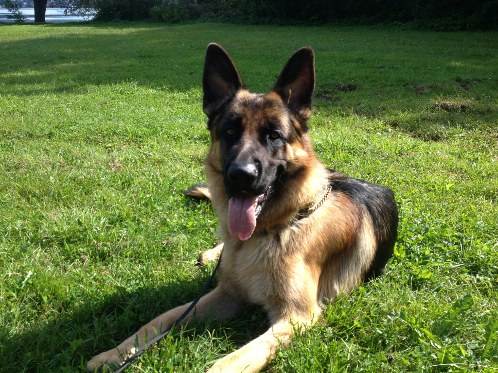 Platsliggning i Rådhusparken