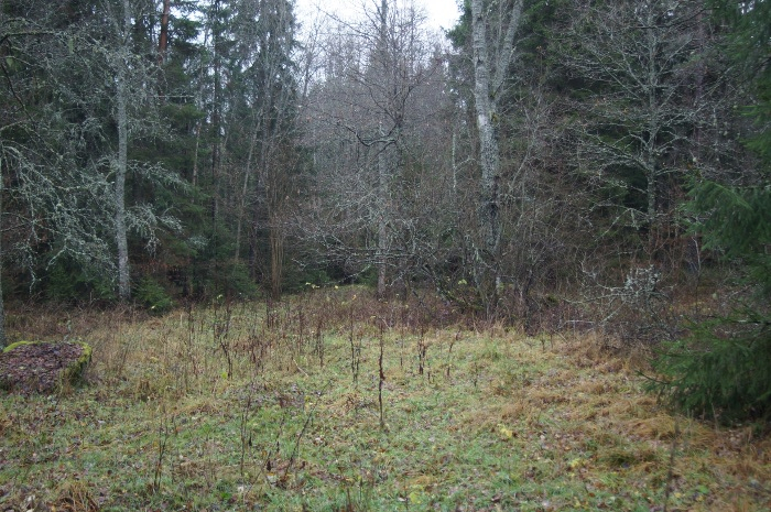 Fortsättning på vägen