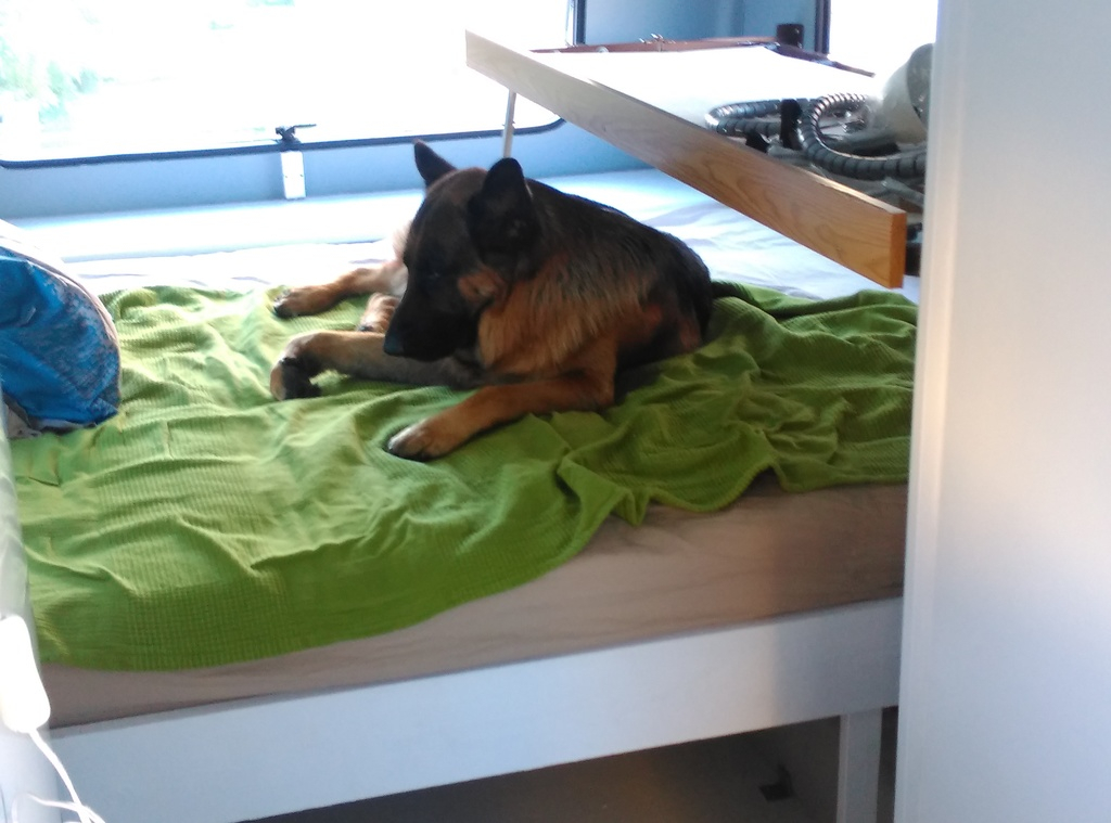 Euro testar nya sängen