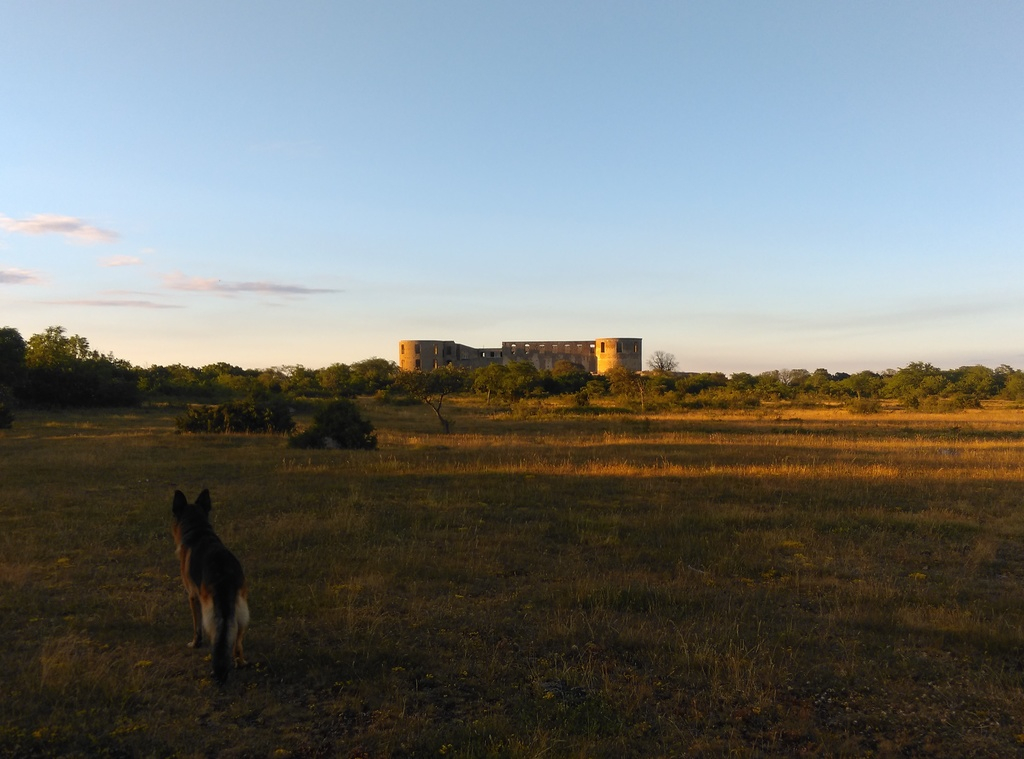 Borgholmsslott i kvälssolen