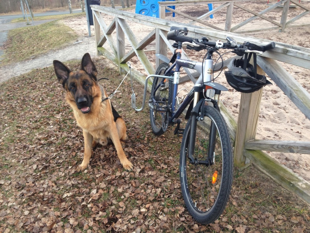 Beathalandet Euro efter cykeltur