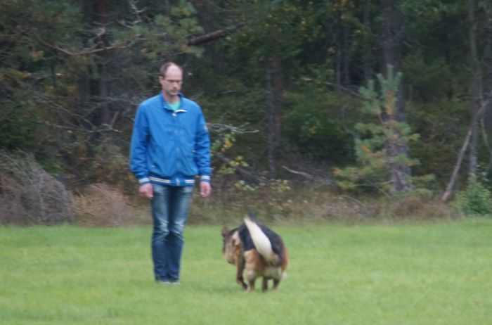 Euro under inkallningen på BH-provet