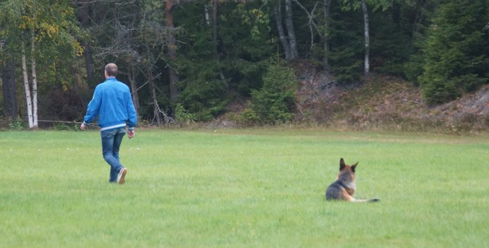 Jag och Euro utför läggande på BH-prov