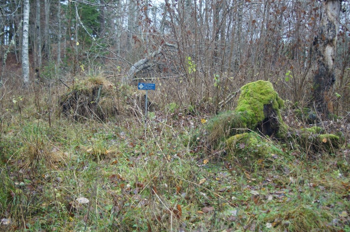 Ruin från ett dagsverkstorp