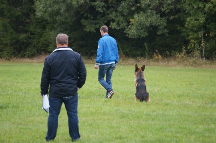 Jag och Euro utför sättande på BH-prov