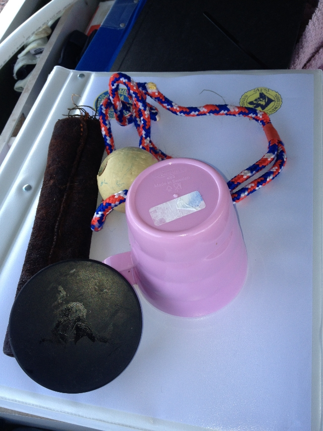 Dagens spårapporter