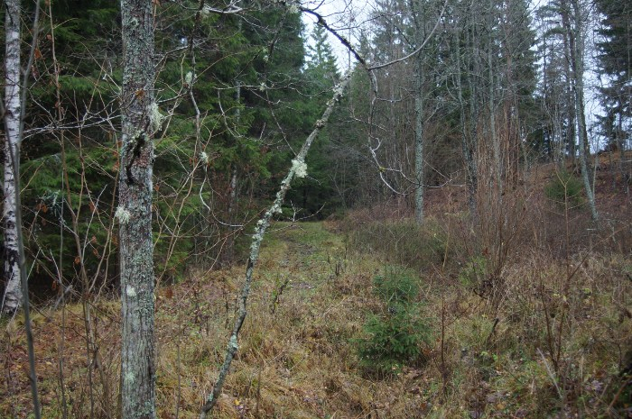 Förmodligen vägen som gick förbi ruinen